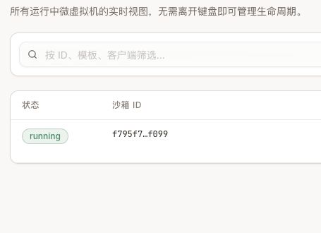 DSH 执行期间，CubeSandbox 实时列表出现相同前缀的运行中 MicroVM